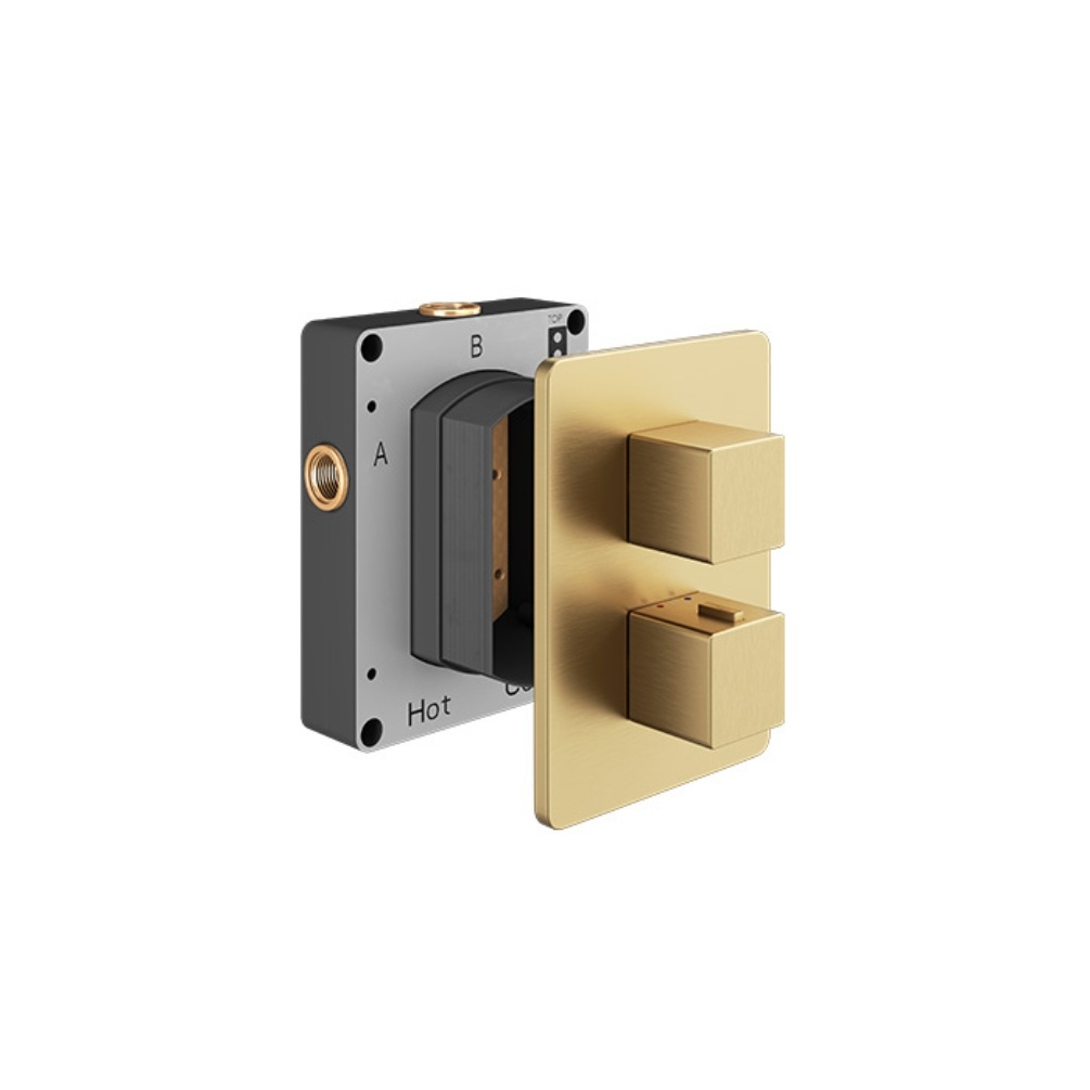 Product cut out image of the Abacus Square Brushed Brass 3 Outlet 2 Handle Thermostatic Shower Valve TSEZ-22-8273